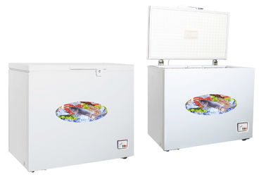 الصين 300 لتر الطاقة الصدر كفاءة الثلاجة / فريزر الصدر الصغيرة مع قفل المزود